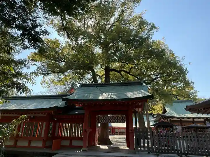 武蔵一宮氷川神社の{uncategorized: "未分類", other: "その他", undefined: "問題あり", building: "その他建物", grave: "お墓", sacred_gate: "鳥居", guardian: "狛犬", statue: "像", buddha: "仏像", history: "歴史", nature: "自然", garden: "庭園", animal: "動物", pagoda: "塔", temizu: "手水舎", mountain_gate: "山門・神門", sanctuary: "本殿・本堂", subordinate: "末社・摂社", art: "芸術", scenery: "景色", jizo: "地蔵", ema: "絵馬", goshuin: "御朱印", omikuji: "おみくじ", items: "授与品その他", amulet: "お守り", goshuincho: "御朱印帳", eats: "食事", festival: "お祭り", votive_dance: "神楽", shichigosan: "七五三参", wedding: "結婚式", experience: "体験その他", initially: "初詣", around: "周辺", anti_infection: "感染症対策"}
