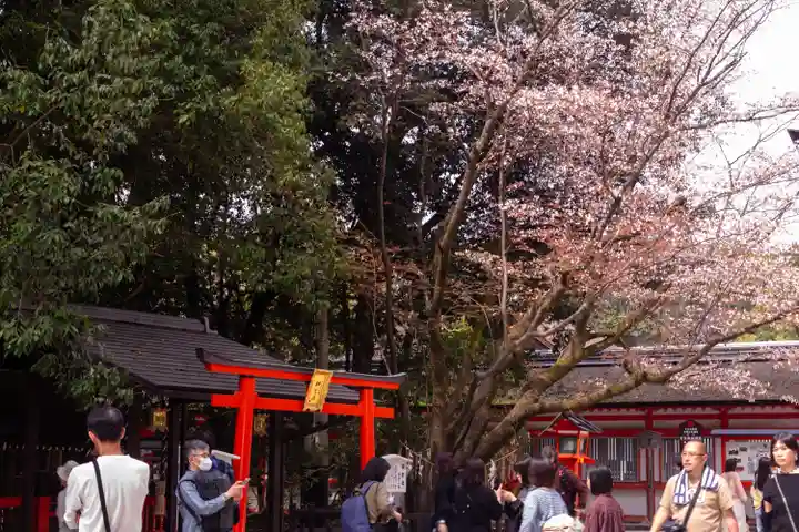 賀茂御祖神社(下鴨神社)(京都府)