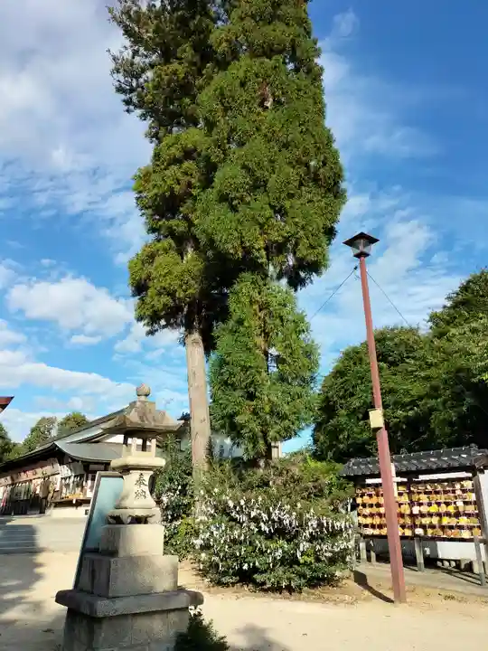高尾神社のその他建物