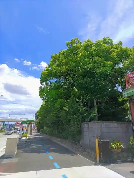 八幡社(篠原八幡社)の自然