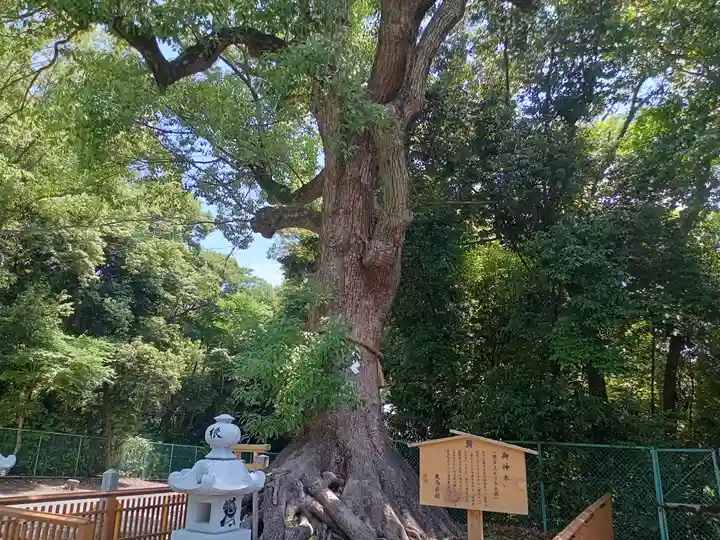 和泉國一之宮 大鳥大社の自然