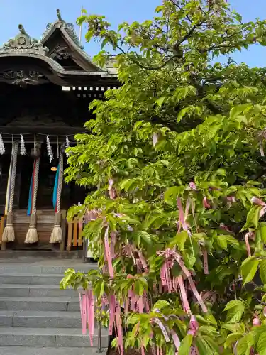 桜神宮の{uncategorized: "未分類", other: "その他", undefined: "問題あり", building: "その他建物", grave: "お墓", sacred_gate: "鳥居", guardian: "狛犬", statue: "像", buddha: "仏像", history: "歴史", nature: "自然", garden: "庭園", animal: "動物", pagoda: "塔", temizu: "手水舎", mountain_gate: "山門・神門", sanctuary: "本殿・本堂", subordinate: "末社・摂社", art: "芸術", scenery: "景色", jizo: "地蔵", ema: "絵馬", goshuin: "御朱印", omikuji: "おみくじ", items: "授与品その他", amulet: "お守り", goshuincho: "御朱印帳", eats: "食事", festival: "お祭り", votive_dance: "神楽", shichigosan: "七五三参", wedding: "結婚式", experience: "体験その他", initially: "初詣", around: "周辺", anti_infection: "感染症対策"}