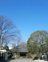 専稱寺(埼玉県)