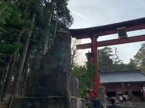 北口本宮冨士浅間神社の鳥居