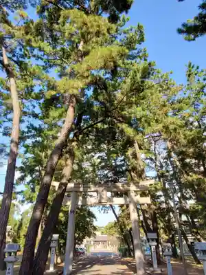 浜宮天神社の鳥居