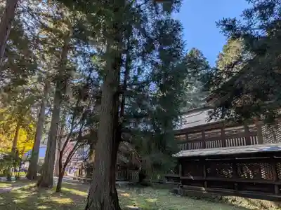 冨士御室浅間神社(山梨県)