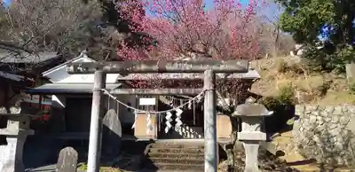 賀茂別雷神社の鳥居
