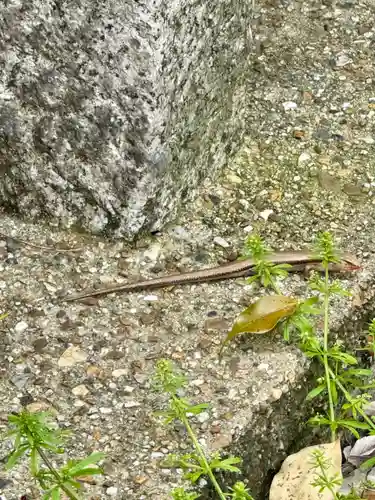 玉田神社(京都府)