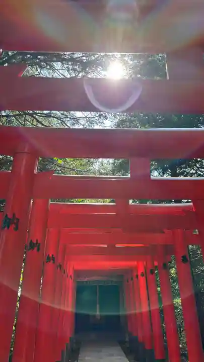 大麻比古神社(徳島県)