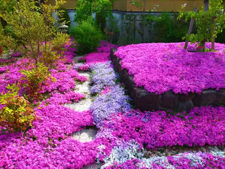 寿量山 速成寺(奈良県)