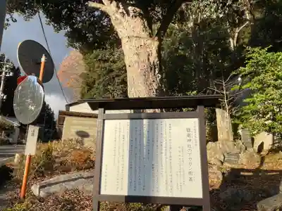 鹽竈神社の歴史