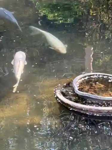 金蛇水神社(宮城県)