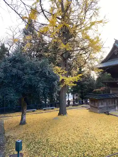 仙台東照宮の自然