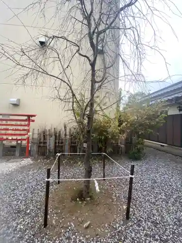 庚申神社の庭園