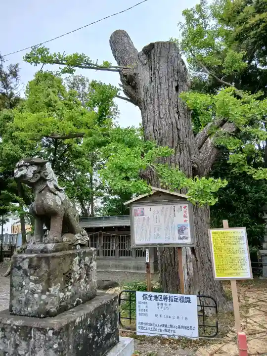 大宮神社の{uncategorized: "未分類", other: "その他", undefined: "問題あり", building: "その他建物", grave: "お墓", sacred_gate: "鳥居", guardian: "狛犬", statue: "像", buddha: "仏像", history: "歴史", nature: "自然", garden: "庭園", animal: "動物", pagoda: "塔", temizu: "手水舎", mountain_gate: "山門・神門", sanctuary: "本殿・本堂", subordinate: "末社・摂社", art: "芸術", scenery: "景色", jizo: "地蔵", ema: "絵馬", goshuin: "御朱印", omikuji: "おみくじ", items: "授与品その他", amulet: "お守り", goshuincho: "御朱印帳", eats: "食事", festival: "お祭り", votive_dance: "神楽", shichigosan: "七五三参", wedding: "結婚式", experience: "体験その他", initially: "初詣", around: "周辺", anti_infection: "感染症対策"}