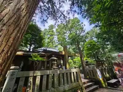 最乗寺（道了尊）(神奈川県)