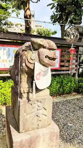 菊田神社の狛犬