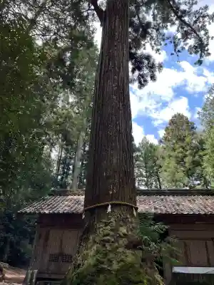 内尾神社(兵庫県)