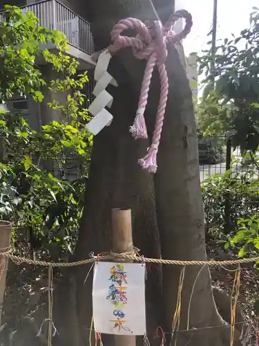 伊和志津神社の自然