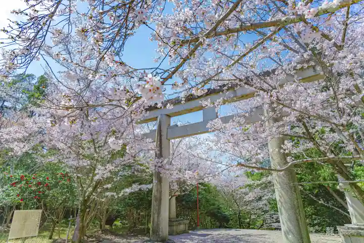 奈良縣護國神社(奈良県)