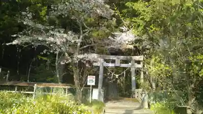 鹿島神社のその他建物