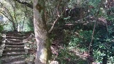 西宮神社の自然