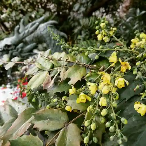 三輪神社の自然