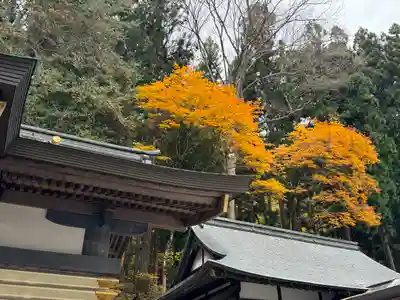 諏訪大社(長野県)