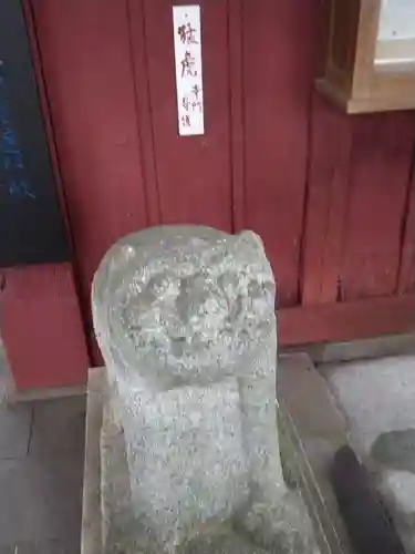 善養寺（善養密寺）(東京都)