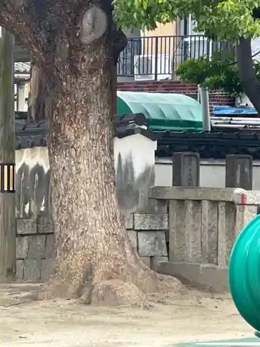 宝珠院(大阪府)