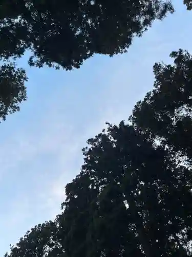 大宮温泉神社(栃木県)