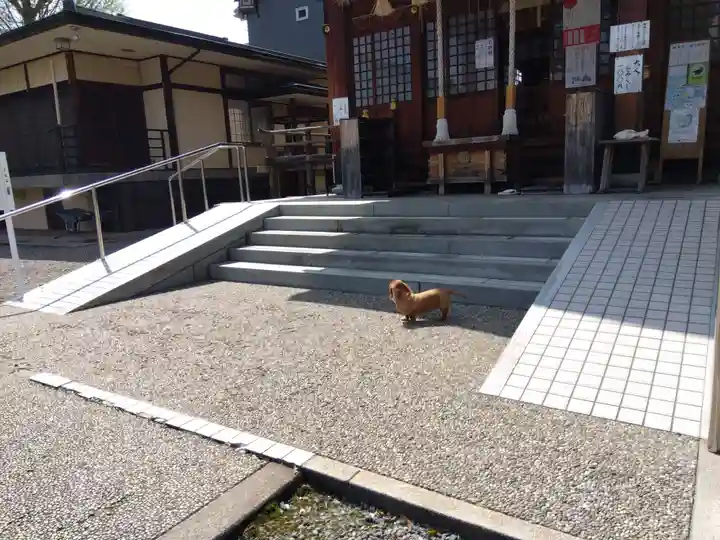 杉杜白髭神社(福井県)