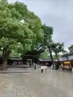 明治神宮(東京都)