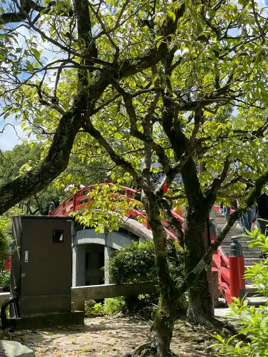 太宰府天満宮の{uncategorized: "未分類", other: "その他", undefined: "問題あり", building: "その他建物", grave: "お墓", sacred_gate: "鳥居", guardian: "狛犬", statue: "像", buddha: "仏像", history: "歴史", nature: "自然", garden: "庭園", animal: "動物", pagoda: "塔", temizu: "手水舎", mountain_gate: "山門・神門", sanctuary: "本殿・本堂", subordinate: "末社・摂社", art: "芸術", scenery: "景色", jizo: "地蔵", ema: "絵馬", goshuin: "御朱印", omikuji: "おみくじ", items: "授与品その他", amulet: "お守り", goshuincho: "御朱印帳", eats: "食事", festival: "お祭り", votive_dance: "神楽", shichigosan: "七五三参", wedding: "結婚式", experience: "体験その他", initially: "初詣", around: "周辺", anti_infection: "感染症対策"}