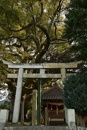 天満神社(愛媛県)