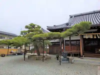 広済寺の自然