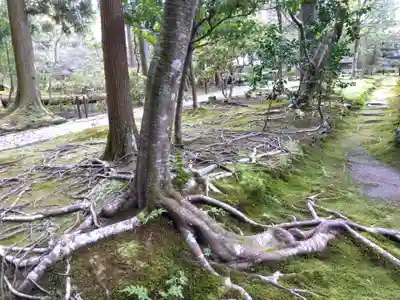 法然院(京都府)