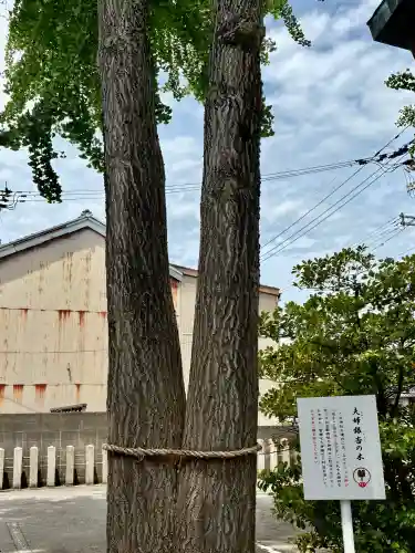 杉杜白髭神社の{uncategorized: "未分類", other: "その他", undefined: "問題あり", building: "その他建物", grave: "お墓", sacred_gate: "鳥居", guardian: "狛犬", statue: "像", buddha: "仏像", history: "歴史", nature: "自然", garden: "庭園", animal: "動物", pagoda: "塔", temizu: "手水舎", mountain_gate: "山門・神門", sanctuary: "本殿・本堂", subordinate: "末社・摂社", art: "芸術", scenery: "景色", jizo: "地蔵", ema: "絵馬", goshuin: "御朱印", omikuji: "おみくじ", items: "授与品その他", amulet: "お守り", goshuincho: "御朱印帳", eats: "食事", festival: "お祭り", votive_dance: "神楽", shichigosan: "七五三参", wedding: "結婚式", experience: "体験その他", initially: "初詣", around: "周辺", anti_infection: "感染症対策"}
