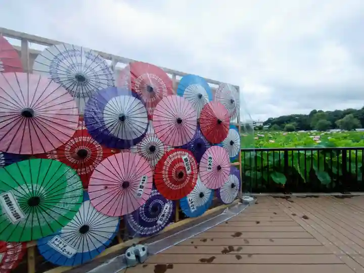 寛永寺不忍池弁天堂(東京都)