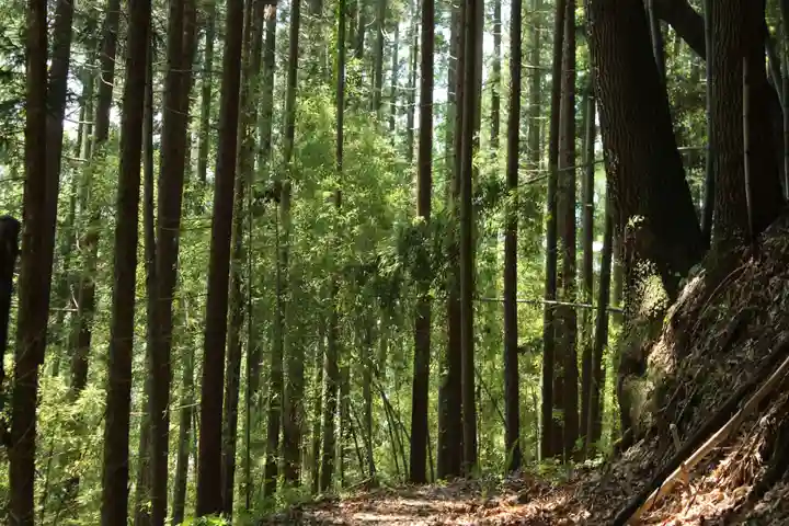 国宝 大法寺の周辺