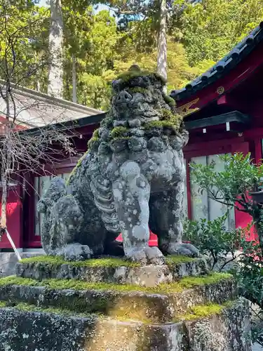 箱根神社の狛犬