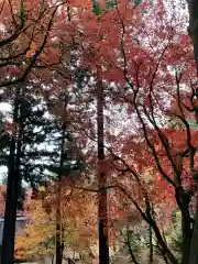 石道寺(滋賀県)