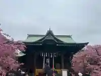 桜神宮(東京都)