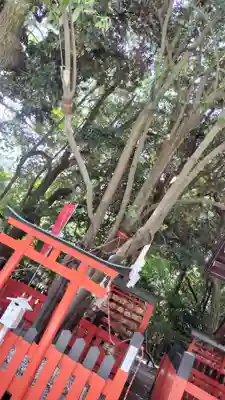 賀茂御祖神社（下鴨神社）(京都府)