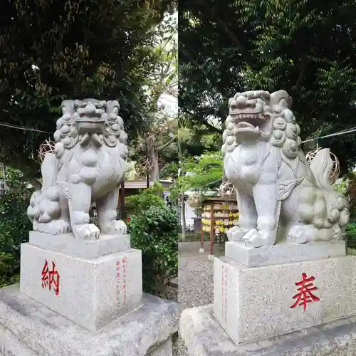 菊田神社の狛犬