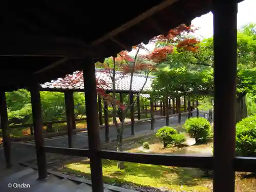 東福禅寺（東福寺）(京都府)