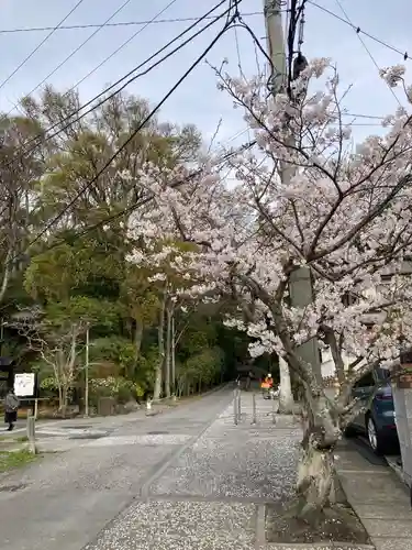 妙本寺(神奈川県)