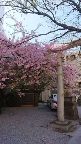 元三島神社の自然