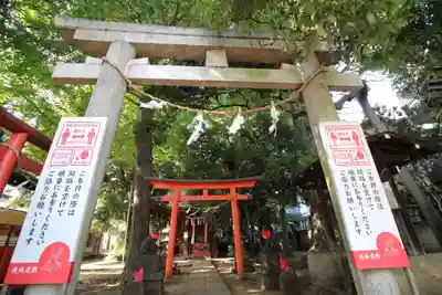 松庵稲荷神社の鳥居