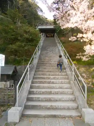 甘縄神明神社（甘縄神明宮）の景色